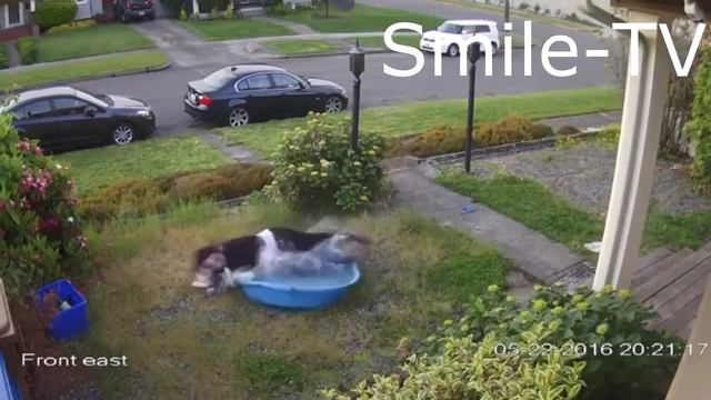 Лучшие приколы 2017 ,Угарные приколы 2017 ,прикольные видео подборки #10 смотреть онлайн