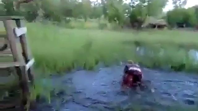 Пьяный и тарзанка смотреть онлайн