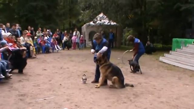 Выступление в ЦПКиО - день рождение парка. смотреть онлайн