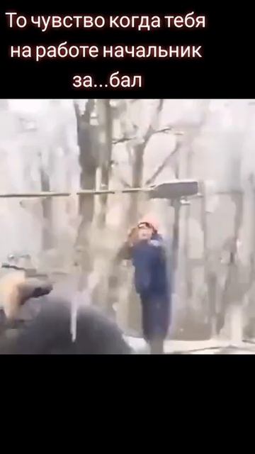 Когда начальник за**ал...приколы тик ток смотреть онлайн