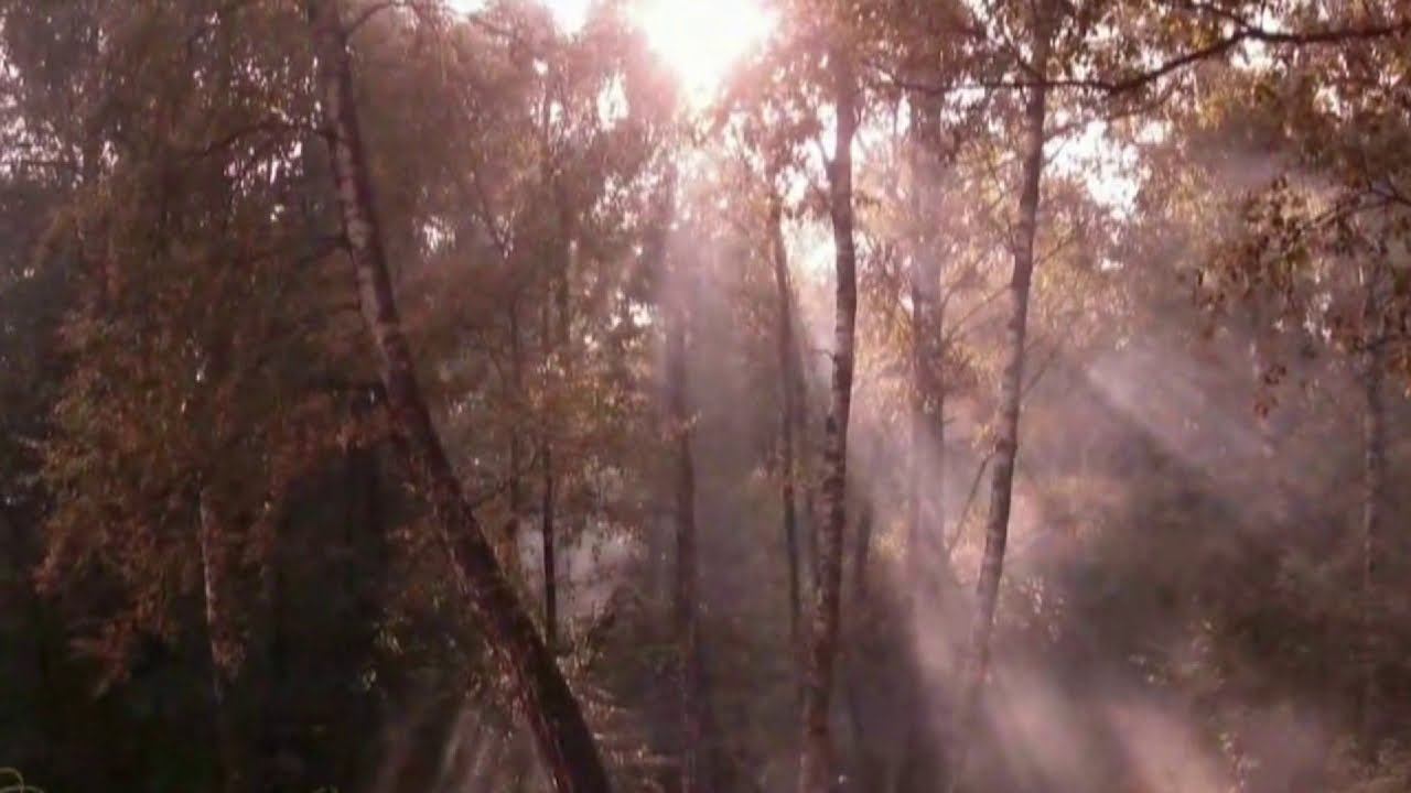 Татьяна Эйхман. Читают Элла Якубенкова и Владислав Витковский смотреть онлайн