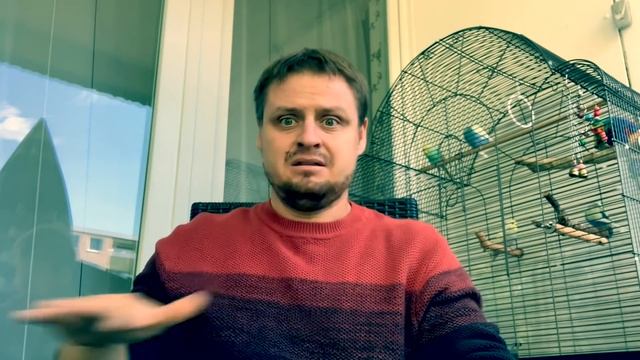 Пенсии в Германии 🇩🇪🤷🏼♂️ 01.10.2021 смотреть онлайн