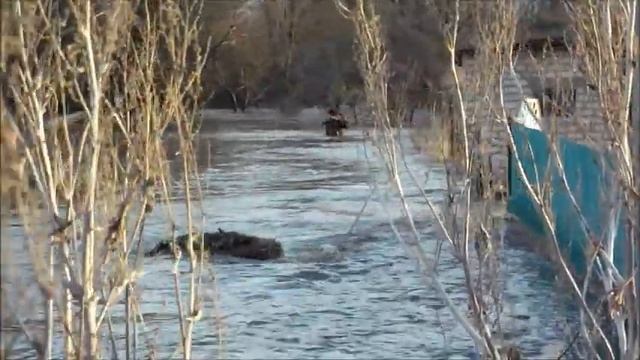 манойлин-во время цунами смотреть онлайн