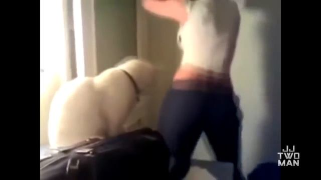 Улётное видео: лучшие приколы 2013 смотреть онлайн