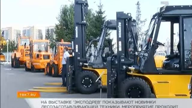 ХХI международная специализированная выставка «Эксподрев». Сюжет 7 канала смотреть онлайн