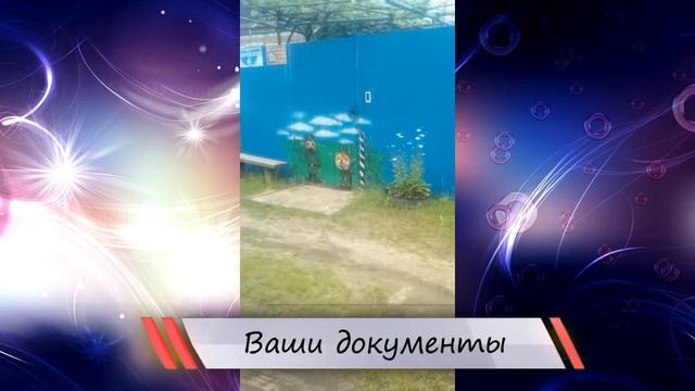 СМЕШНЫЕ КОШКИ 2022 И ДРУГИЕ ЖИВОТНЫЕ / СМЕШНЫЕ ЖИВОТНЫЕ 2022 / ЛУЧШИЕ ПРИКОЛЫ С ЖИВОТНЫМИ смотреть онлайн