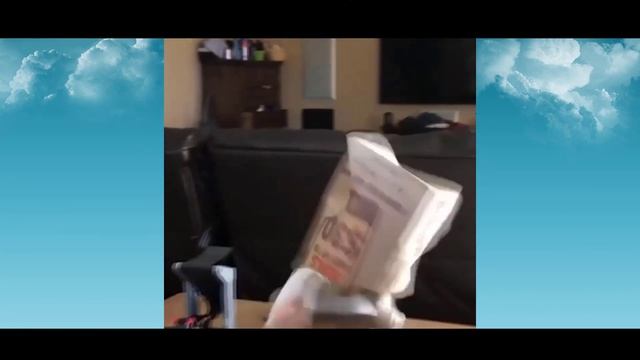 Улётные приколы с животными | Funny Animals Pet