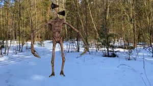 СЕРЕНОГОЛОВЫЙ в РЕАЛЬНОЙ ЖИЗНИ. Он добрался и до НАШЕГО ГОРОДА