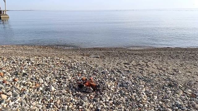 2). Встреча на берегу моря КЦ Сияние , часть 2 смотреть онлайн