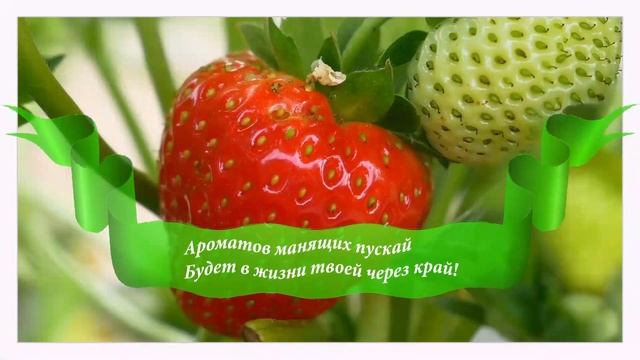 С Днём Рождения, Елизавета! смотреть онлайн