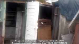 голуби николаевские харцызска