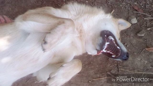 Мои прикольные фоточки смотреть онлайн