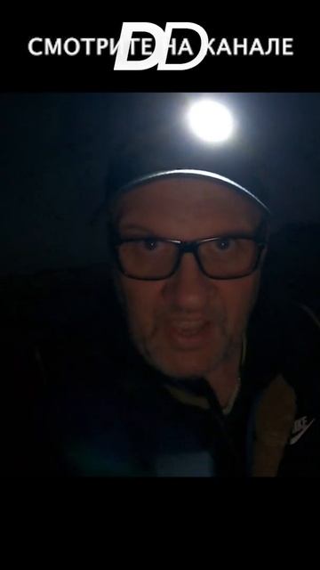 МОРСКИЕ ГАДЫ ЛЮБЯТ НОЧЬ!!! #shorts смотреть онлайн