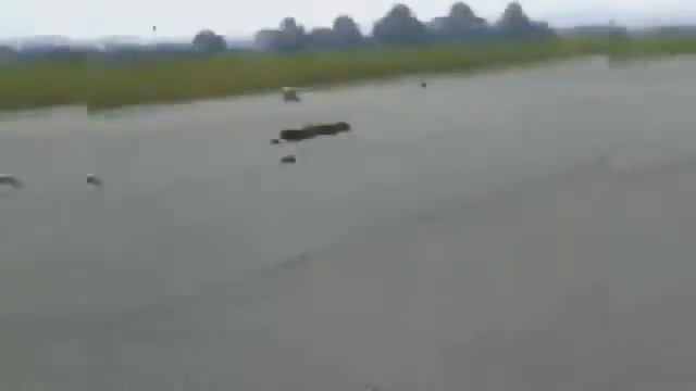 ПРИКОЛЫ 2014 ИЮНЬ ПОДБОРКА # 1 FAIL Compilation June 2014