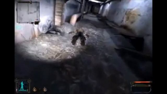S.T.A.L.K.E.R. - Прикол : Контролёр под музыку Светлана Лабода - Твои глаза смотреть онлайн