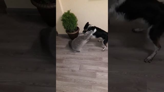 Выпускайте кракена! смотреть онлайн