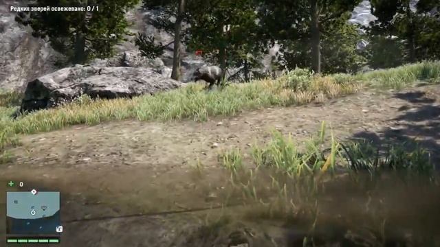 Far Cry® 4,убийство редкого волка из лука смотреть онлайн