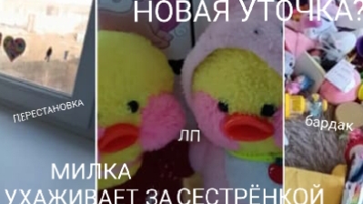 ПОПОЛНЕНИЕ?)) Милка ухаживает за сестрой)  имя выбирали подписчики?)