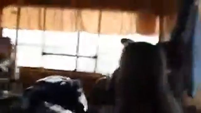 Студенты прикольнулись над водителями смотреть онлайн