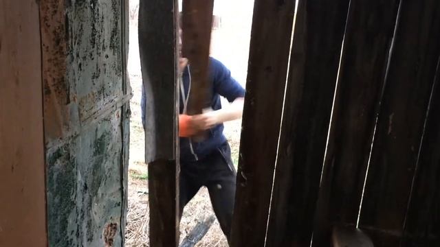 Нападение зайца смотреть онлайн