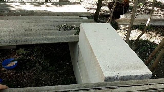 посчитала цыпок, корма будут завтра, Ваня пойдёт в садик, пообещали заморозки