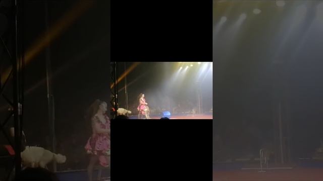 Vlog: едем в цирк.