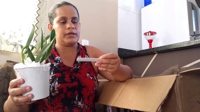 Compras de orquídeas pela internet com preço baixo смотреть онлайн
