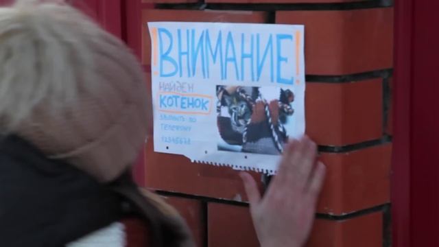 Журавкина Варвара - Осторожно, злая собака смотреть онлайн