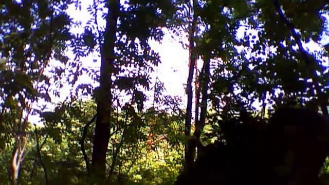 Человек куст -лесопарк Невский