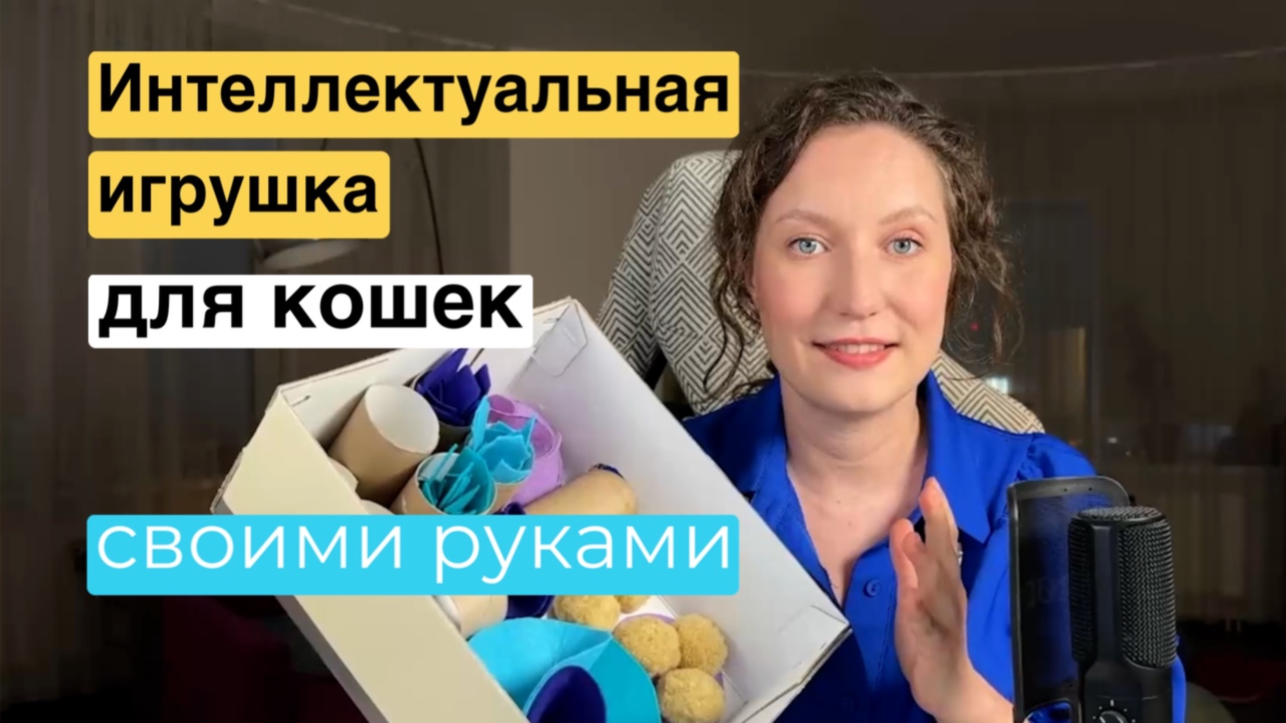 Интеллектуальная игрушка для кошек своими руками от зоопсихолога смотреть онлайн