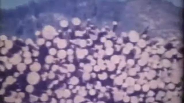 Фитиль №164 смотреть онлайн