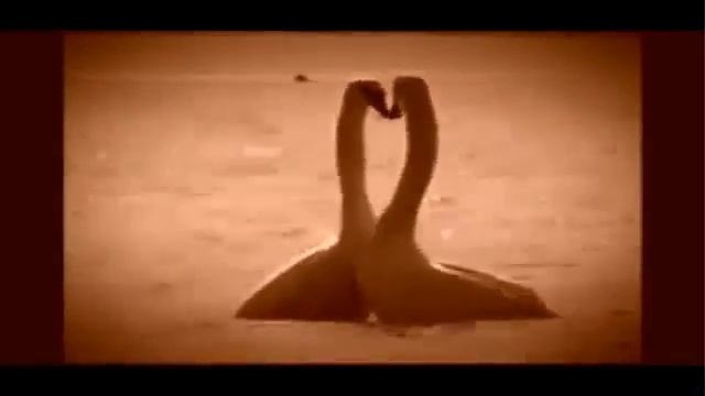 Обнимать мир - день объятий смотреть онлайн