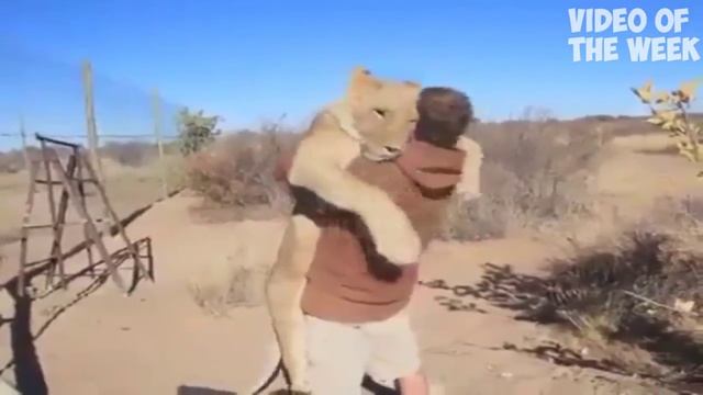 ЭТИ ПРИКОЛЫ ПОРВАЛИ ИНТЕРНЕТ # 4 НОВАЯ ПОДБОРКА 2016 +18 mp4 смотреть онлайн