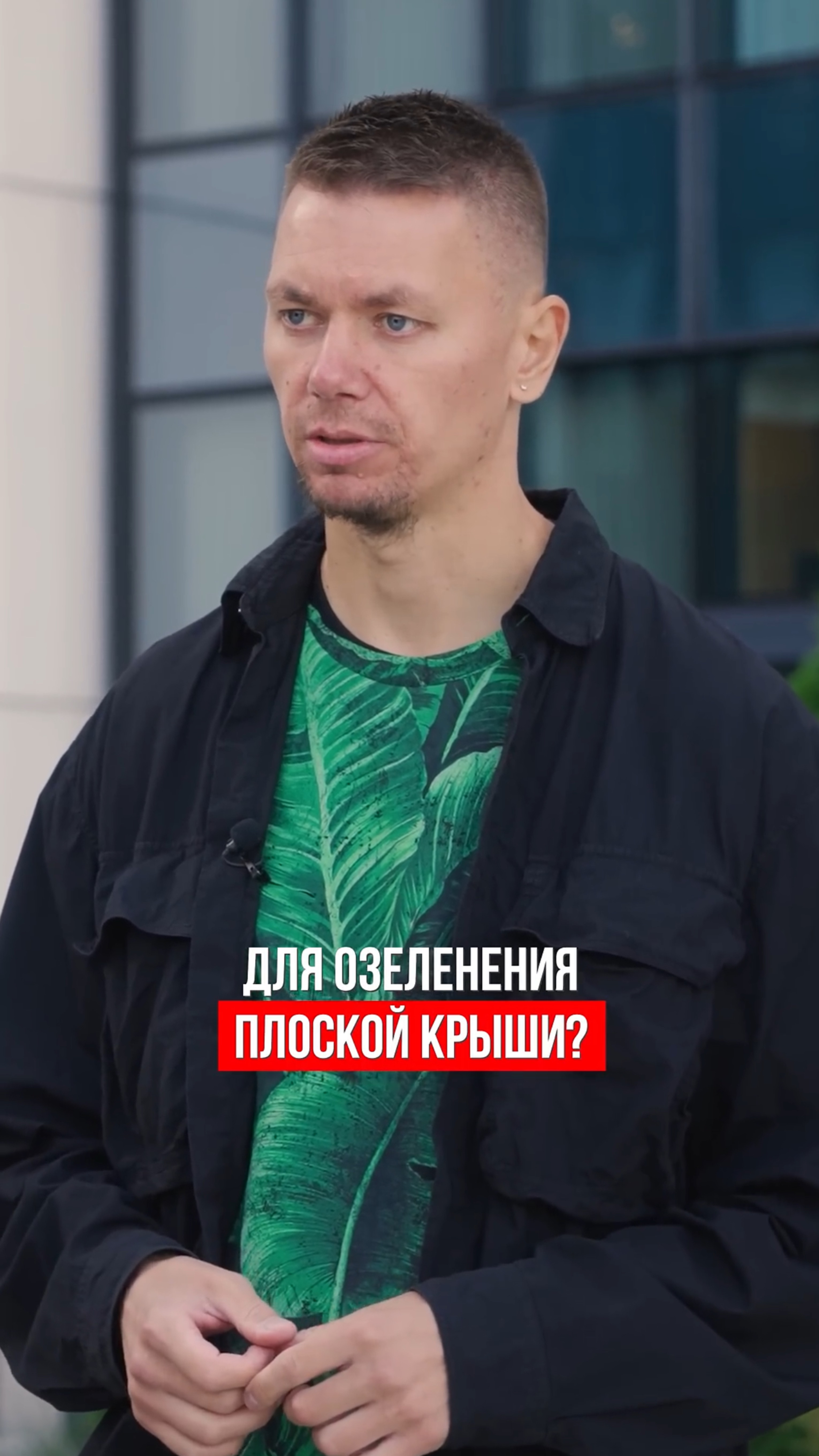 Какие растения можно выращивать на плоских кровлях смотреть онлайн