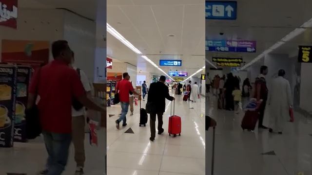 Dubai is waiting for me. Sharjah Airport UAE/Дубай ждет меня. Аэропорт Шарджа ОАЭ#shorts смотреть онлайн