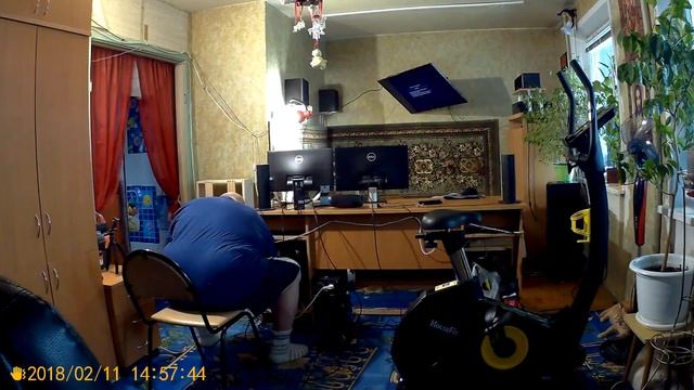 Просто жизнь 11 02 18