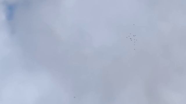 Только я знаю как летят мои голуби.Only I know how my pigeons fly смотреть онлайн