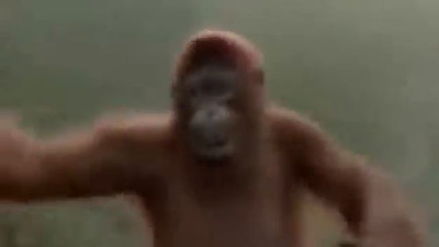 Всем хорошего настроения прикол смотреть онлайн