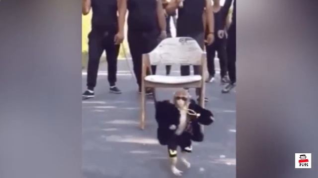 ЛУЧШАЯ подборка COUB. Диана ШУРЫГИНА. Ходячие МЕРТВЕЦЫ. LIKE A BOSS. РОБОКОП. ТЕРМИНАТОР и д.р. смотреть онлайн