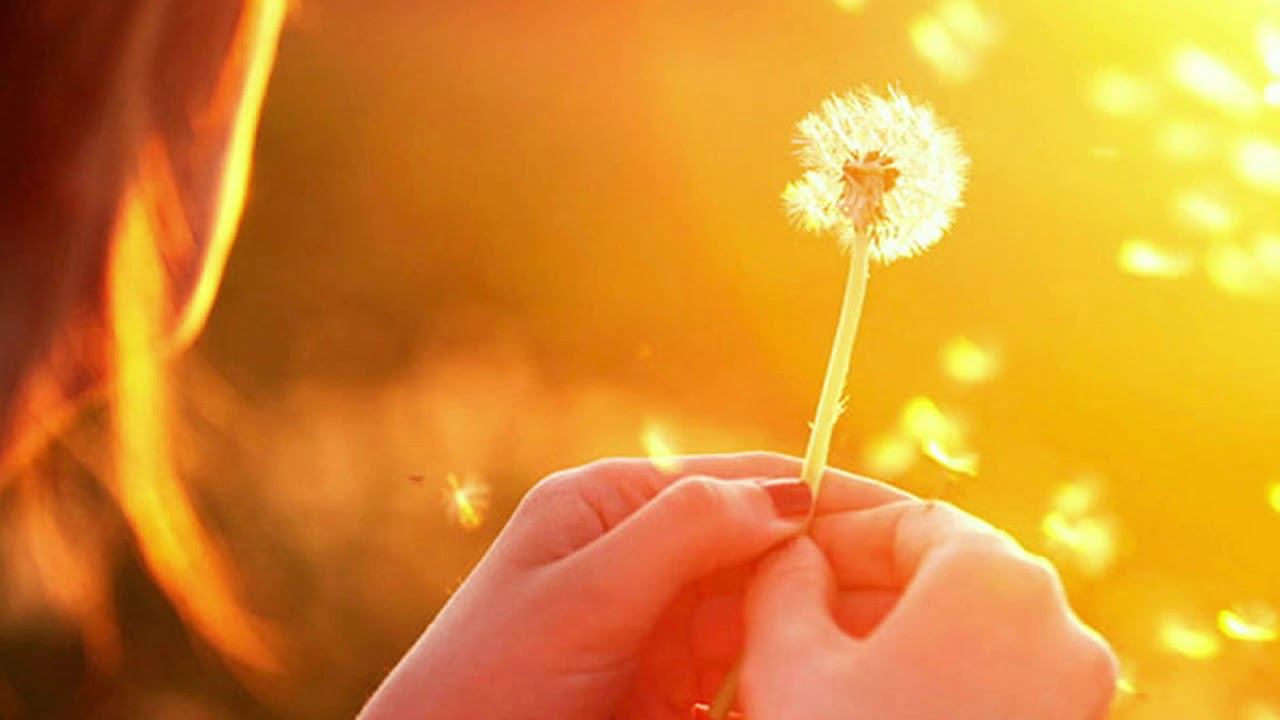 Эдуард Жолудев - "Верните людям доброту". Читает Владислав Витковский смотреть онлайн