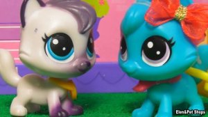 LPS: ГИМНАСТКА 11 серия