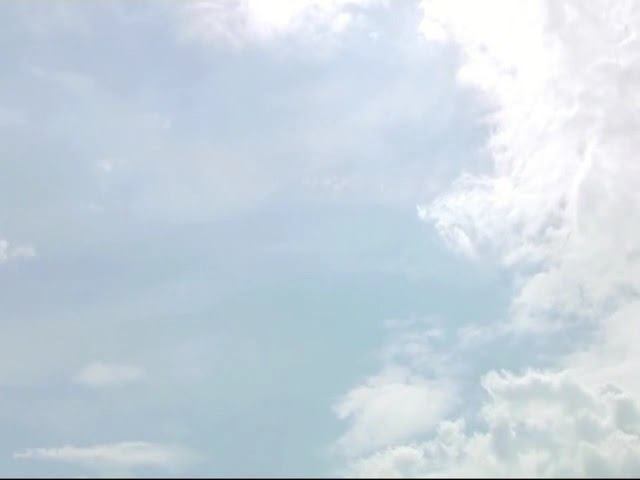 Андрей Вознесенский - Не исчезай. Читает Владислав Витковский смотреть онлайн