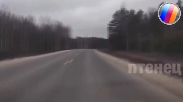 ПОДБОРКА ПРИКОЛОВ | ЛУЧШИЕ ПРИКОЛЫ 2020 | НОВЫЕ ПРИКОЛЫ | СМЕХ ДО СЛЁЗ | BEST COUB смотреть онлайн