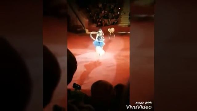 Цирк!дрисеровка собак!Фиолетовый кролик!