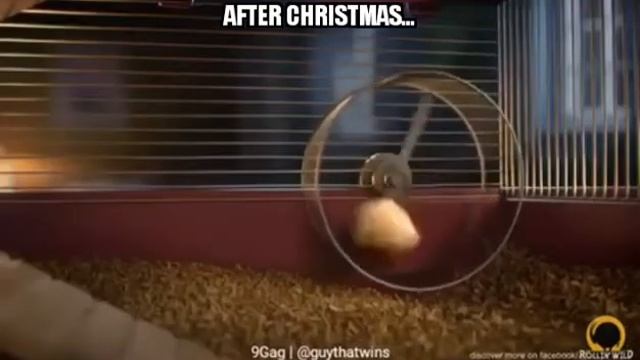 Когда живот круглый смотреть онлайн