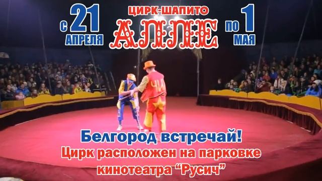 Цирк АЛЛЕ смотреть онлайн