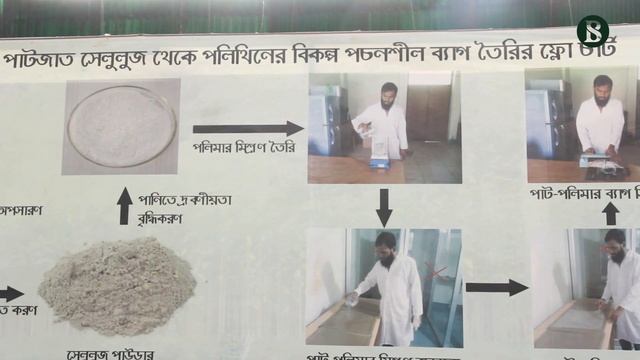 সোনালী ব্যাগের সোনালী সম্ভাবনা II The Business Standard смотреть онлайн