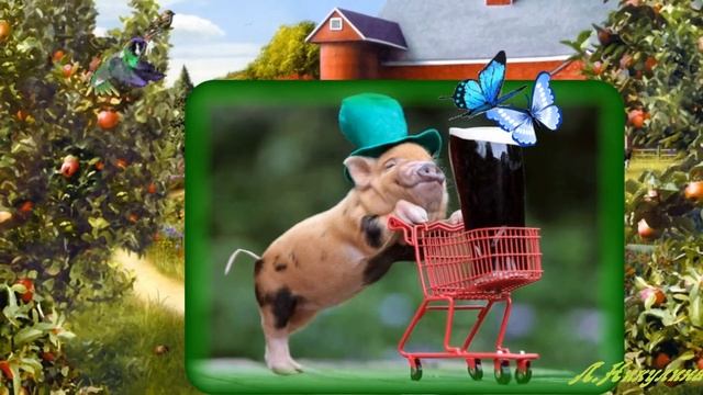 Давайте улыбаться Юмор Приколы Let's smile Humor Jokes смотреть онлайн