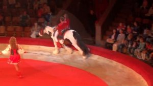 Circus. Acrobats on horseback. Цирк. Акробаты на лошадях
