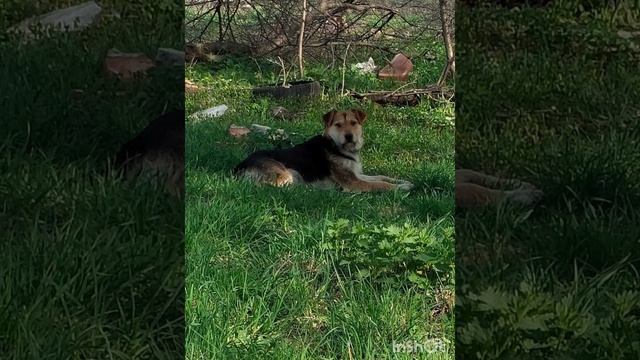 Весна во дворе смотреть онлайн